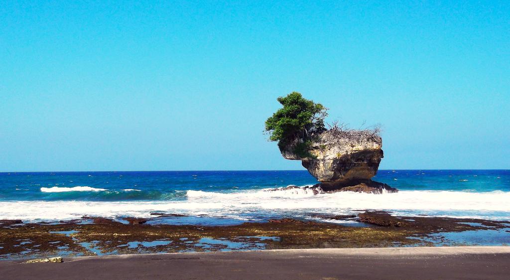 Ragha Homestay Batukaras Buitenkant foto